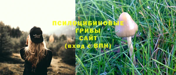 ешки Лагань